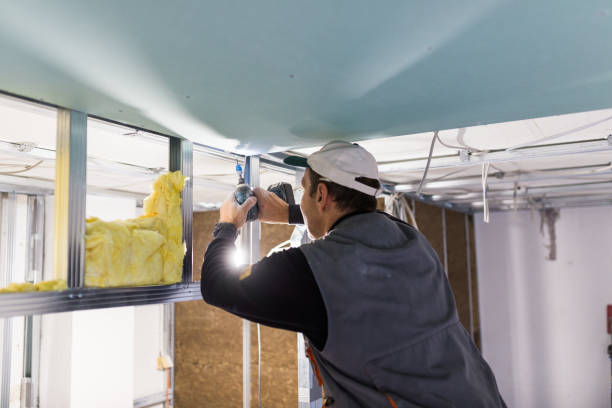 Best Insulation Air Sealing  in Philipsburg, MT